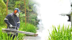 Best Pest Exclusion Services  in Brownsville, OR